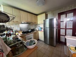 The Hillside (D21), Condominium #433148921